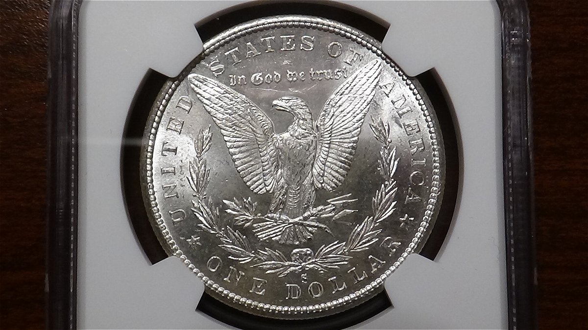 You-V.s.-NGC-1880-S-Morgan-Dollar